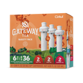 Sugar-Free Gateway Tea 6-Pack Variety Pack HM0F - Vitamin-Infused Natural Refreshing Flavor Core - Default Title